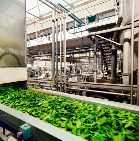 Système de lavage pour fruits  à Trégueux